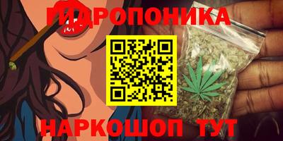 дживик Балахна